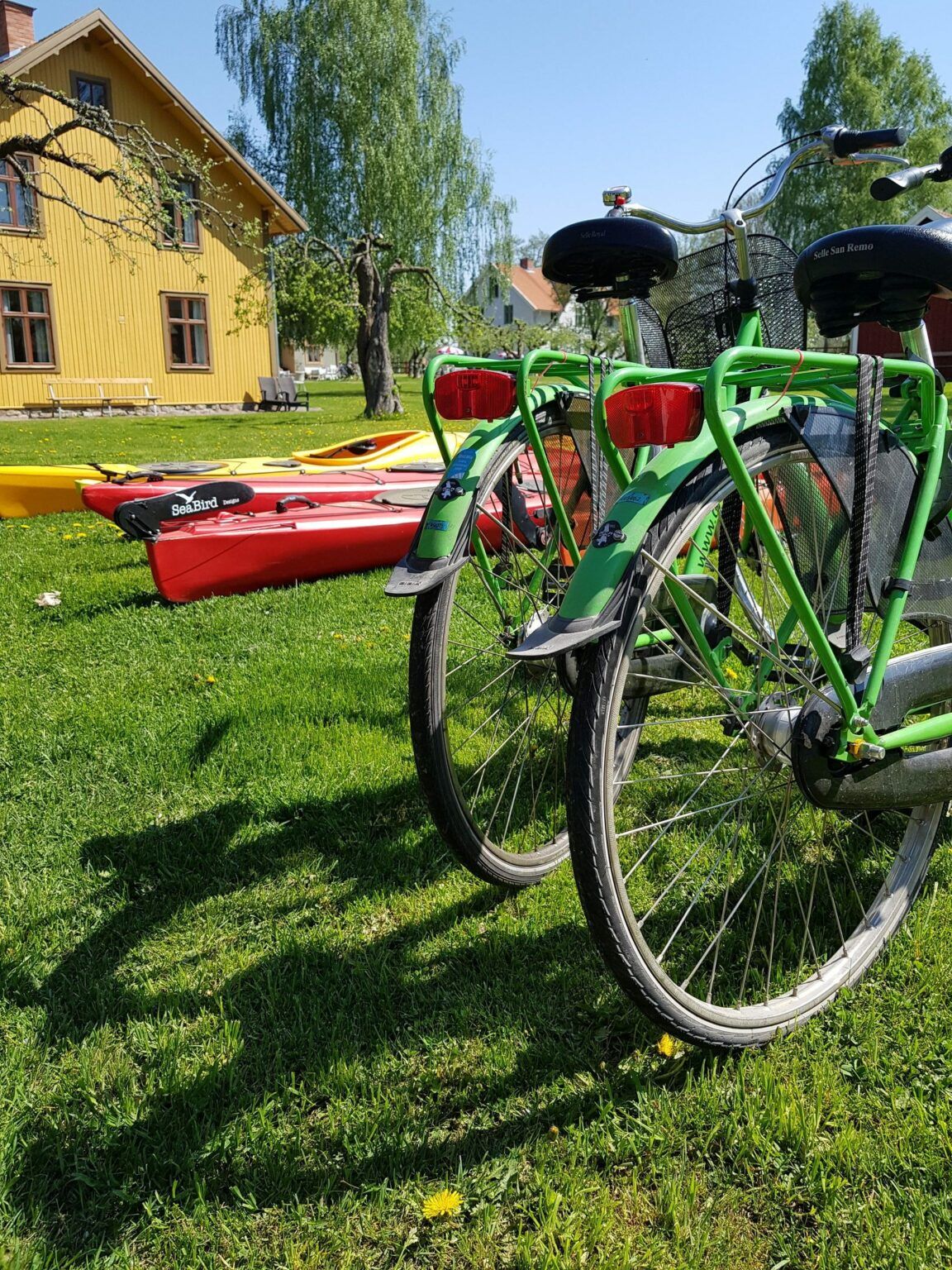 Två gröna cyklar står uppställda på en gräsplan. I bakgrunden ligger röda och gula kanoter.