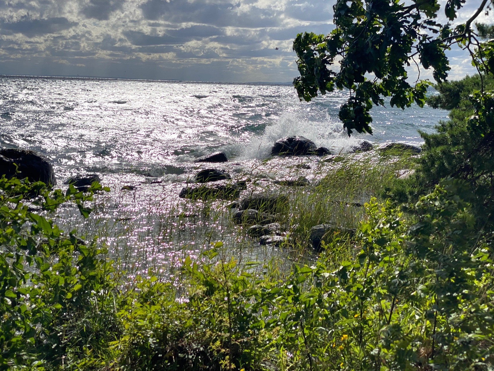 Foto från strandkant. Stora vågor går på vattnet.