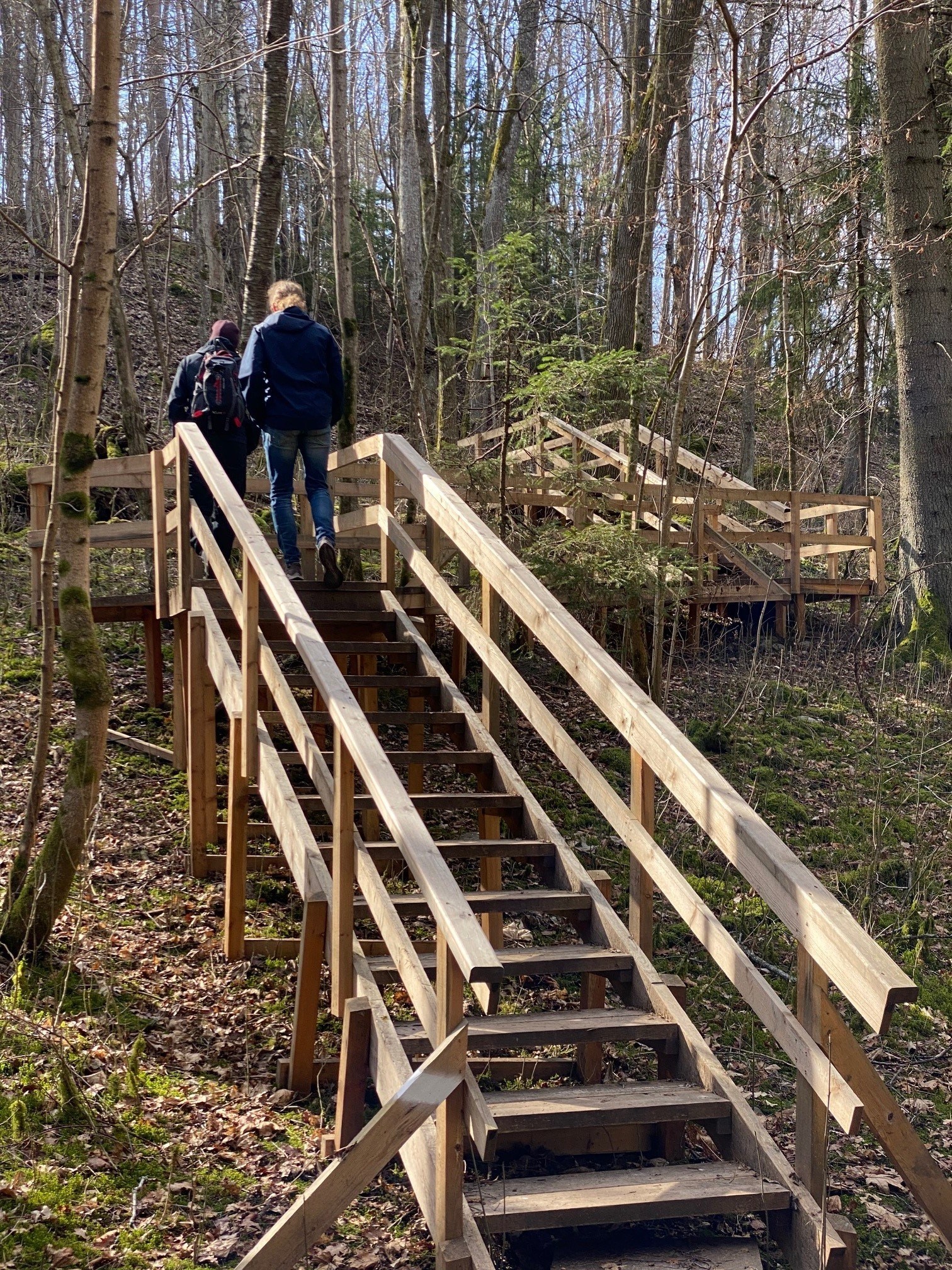 Två män går uppför en trätrappa i en skog.