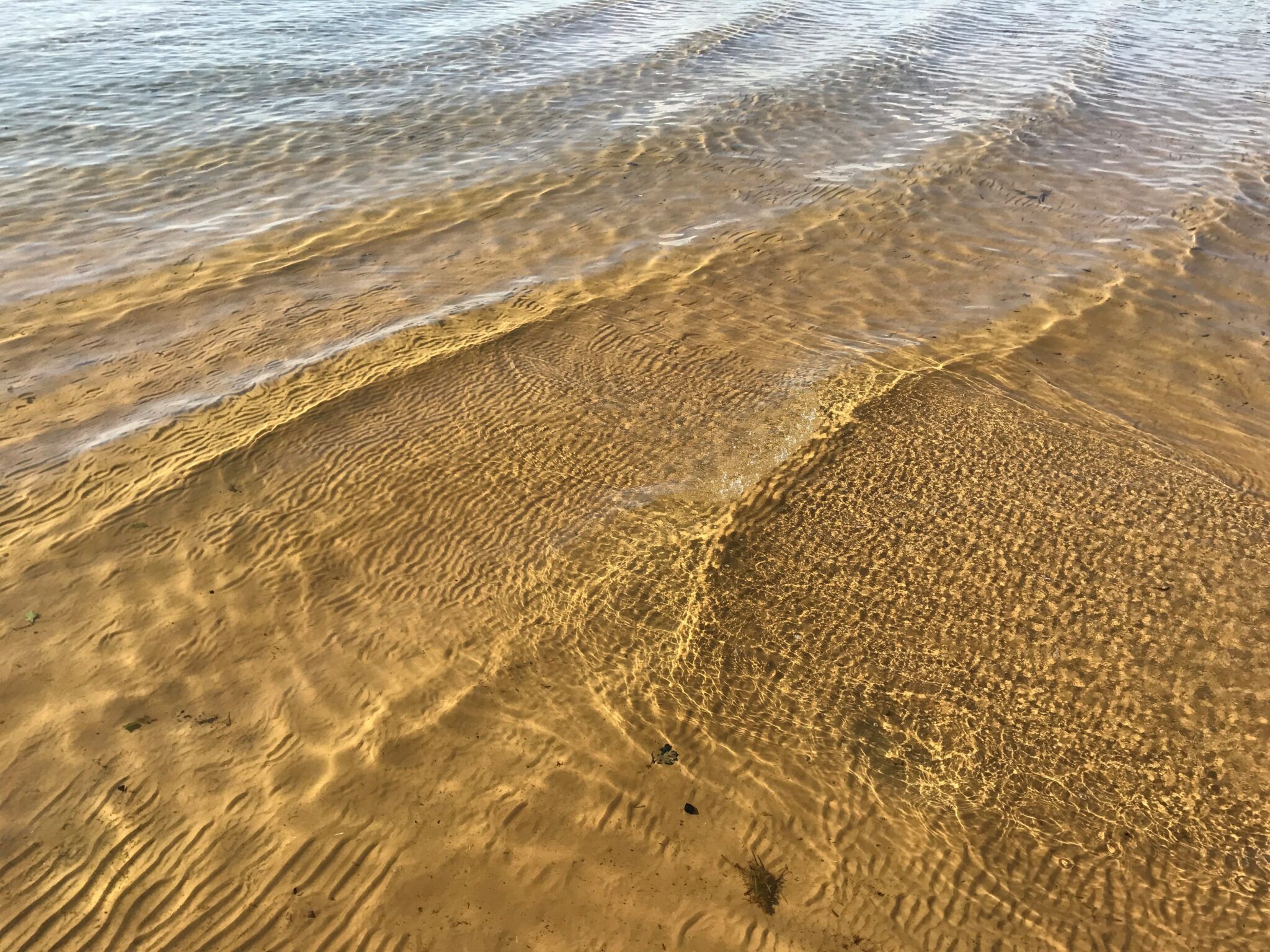 Kristallklart vatten med gyllengul sandbotten