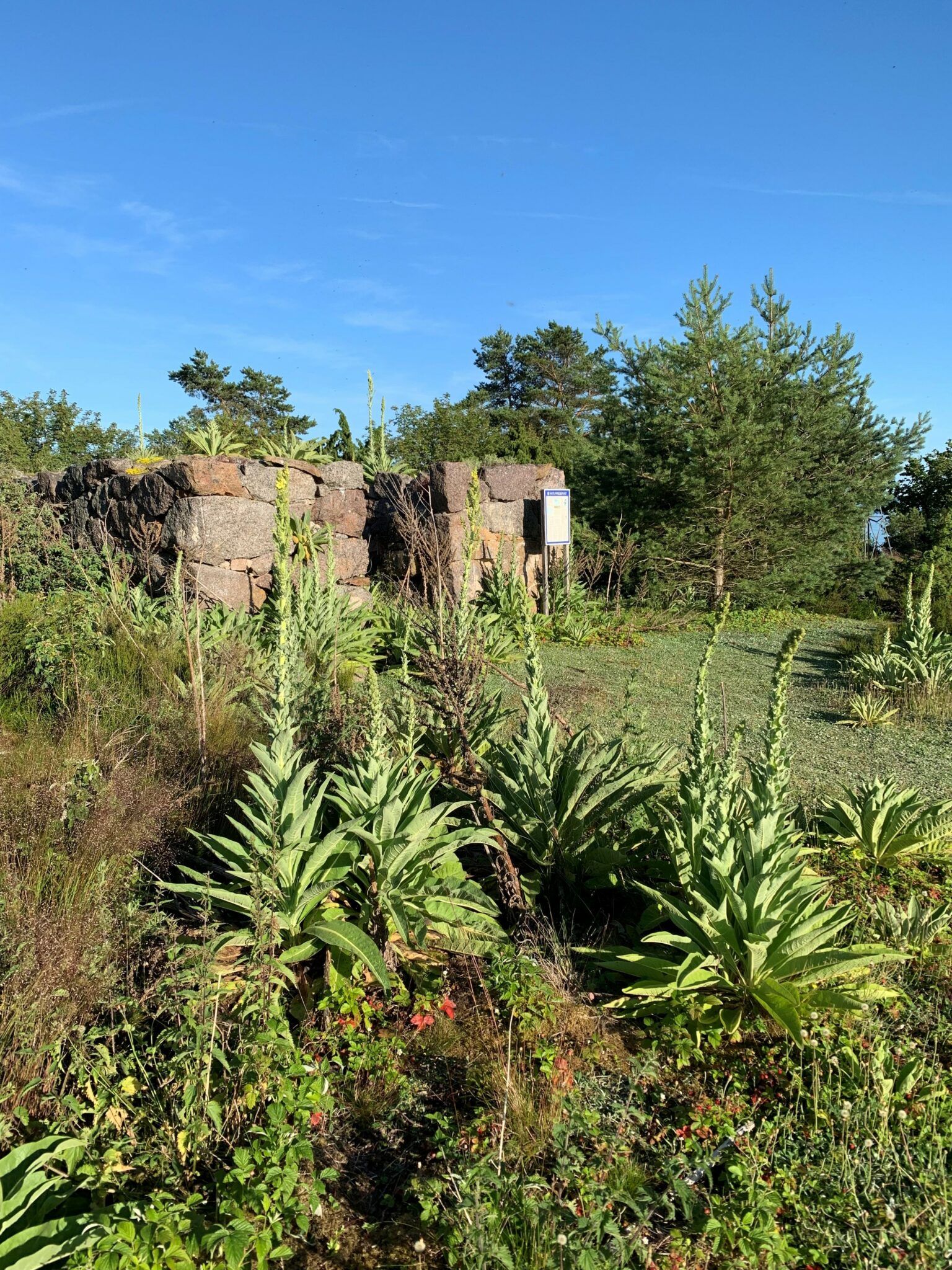 Ruiner från någon form av stenbyggnad