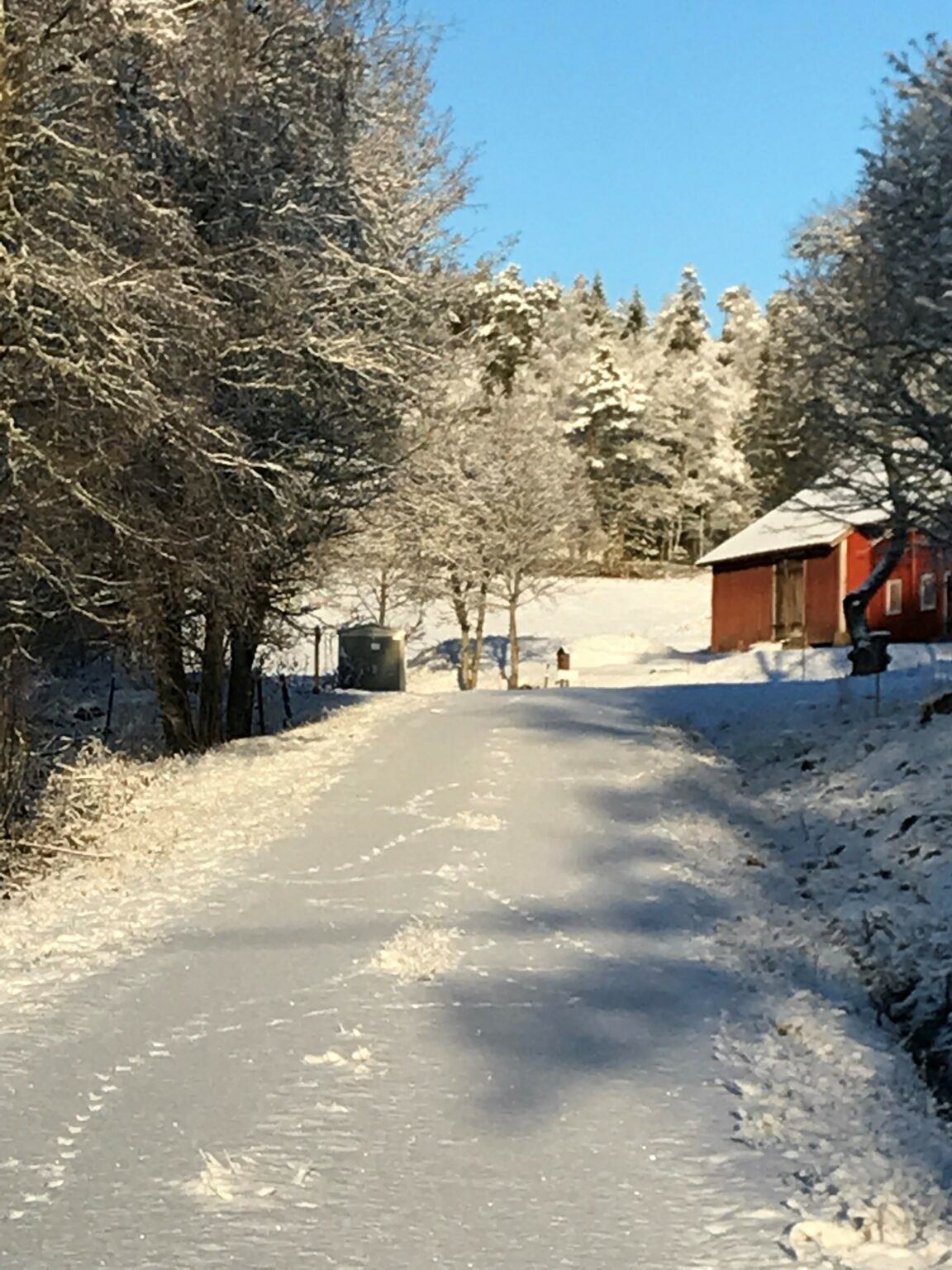 Vinterbild på en väg täckt av orörd snö där en hare har skuttat fram, i bakgrunden skymtar ett rött hus.