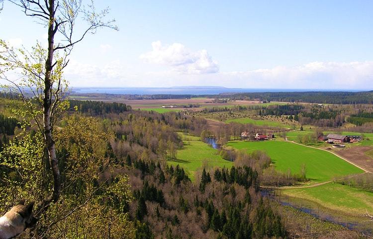 Utsikt över ett vårigt landskap med skog och åkrar