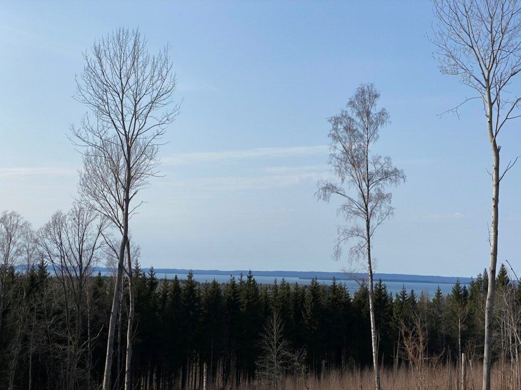 Foto från höjd som visar skog och Vättern borta vid horisonten