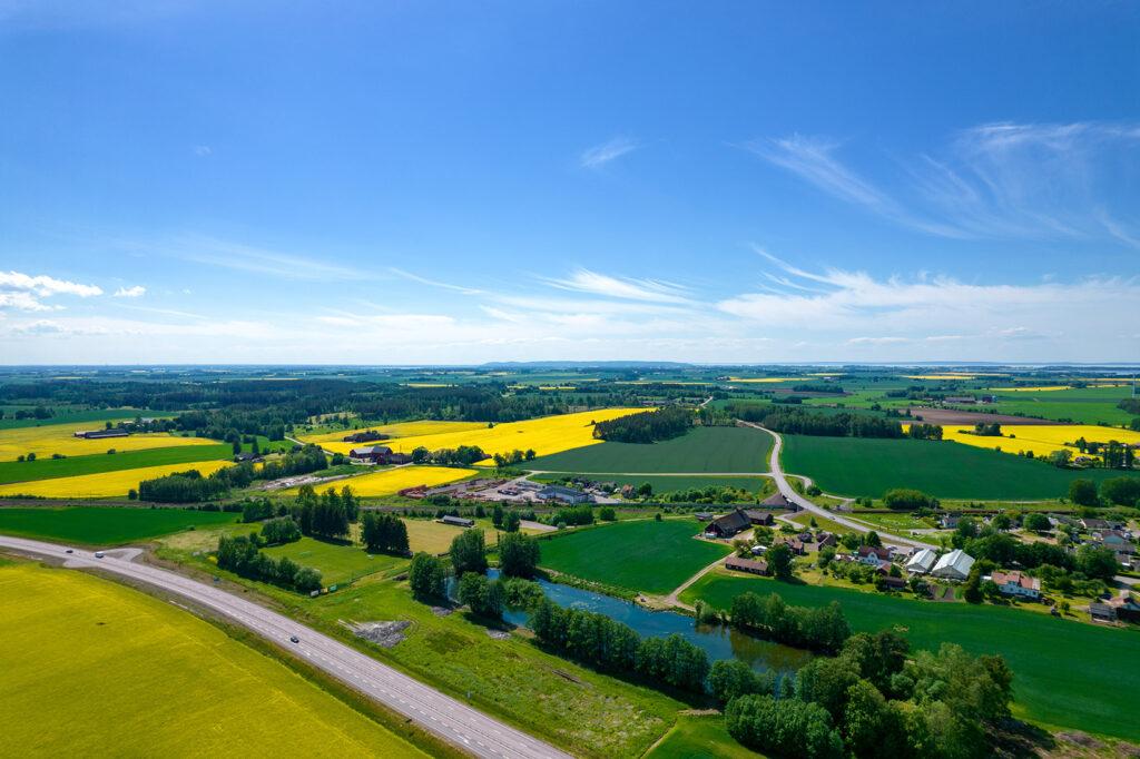Drönarbild över ett slättlandskap, sommartid med gula rapsfält och väldigt blå himmel