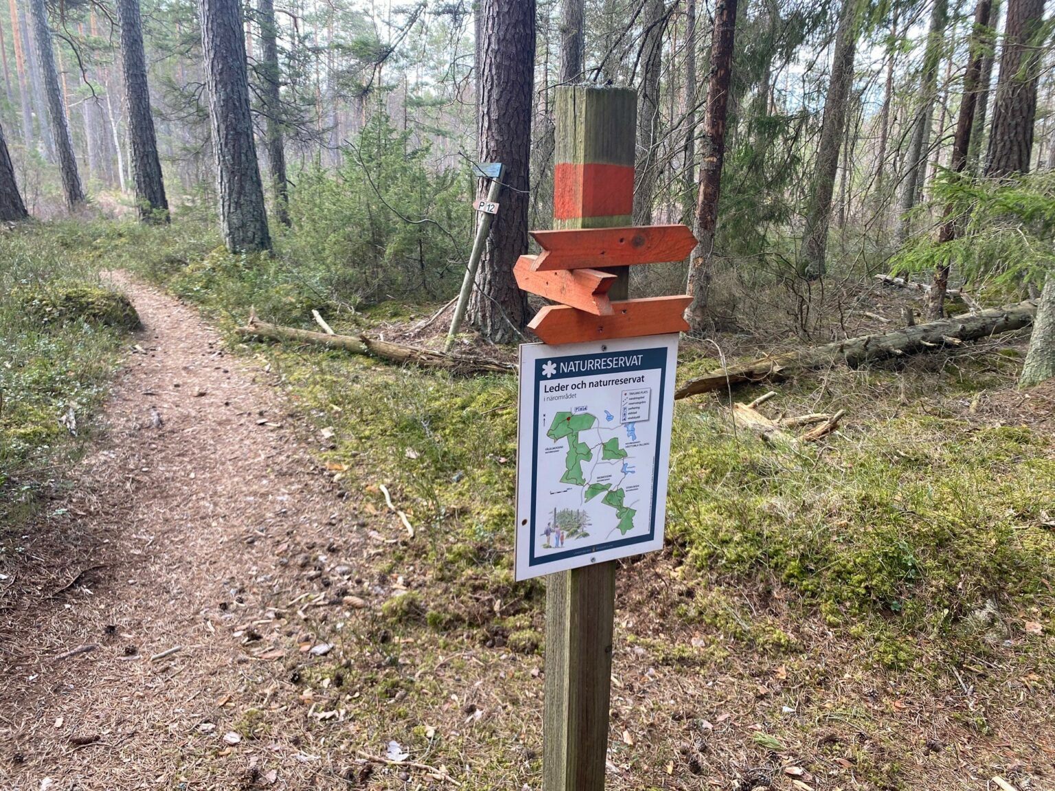 En skylt med olika orangea pilar påvisar olika stigar i ett naturreservat.