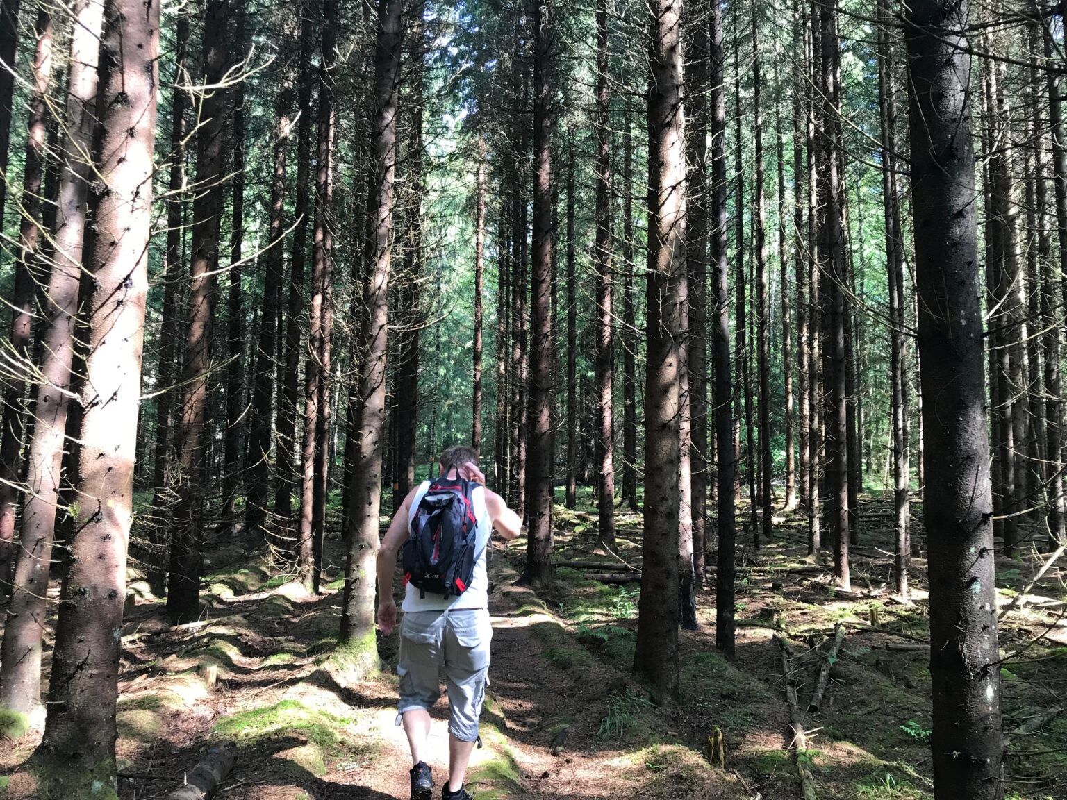En ensam man med ryggsäck går på en stig genom en skog.