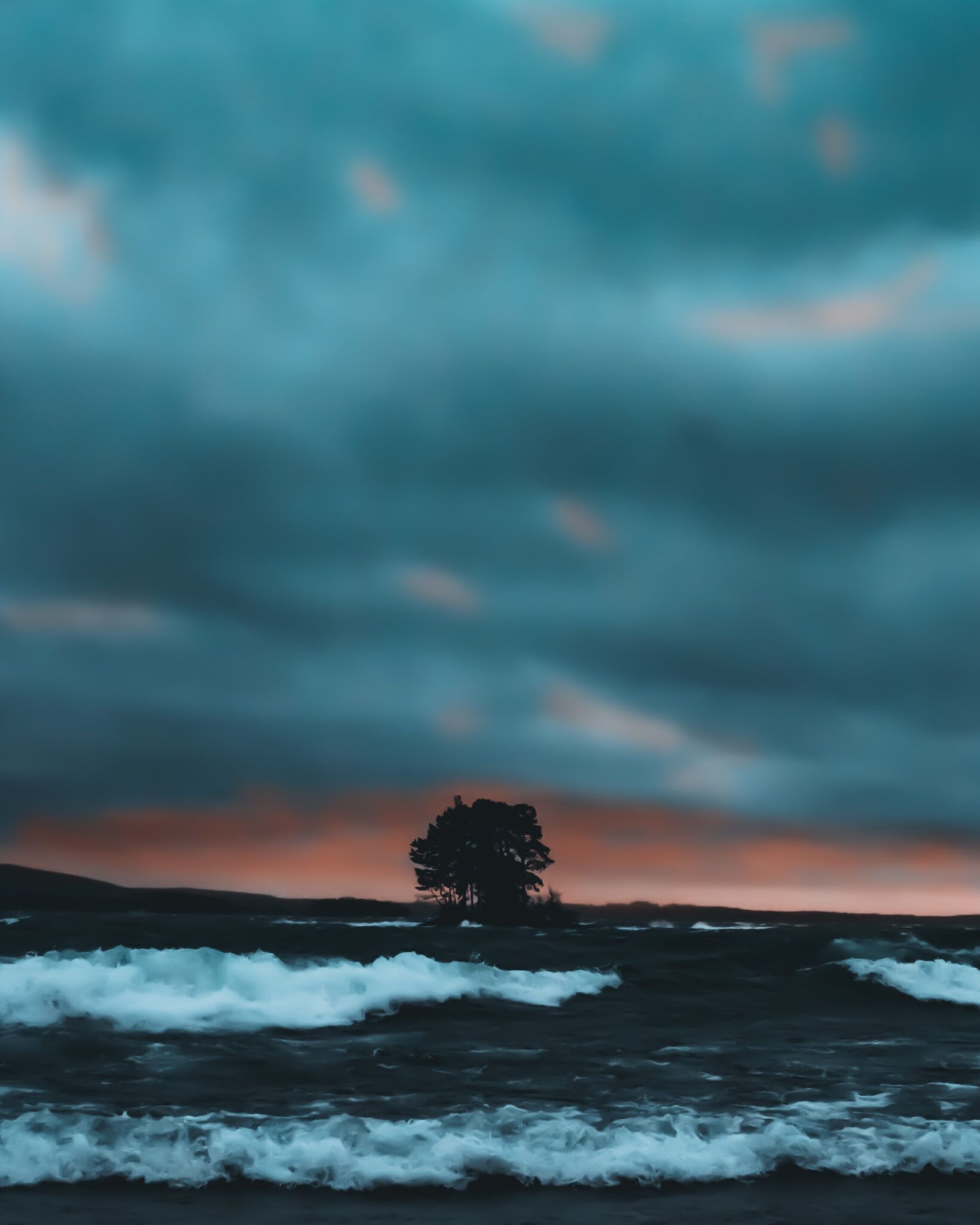 Ett ensamt träd på en ö. Det är storm på Vättern.