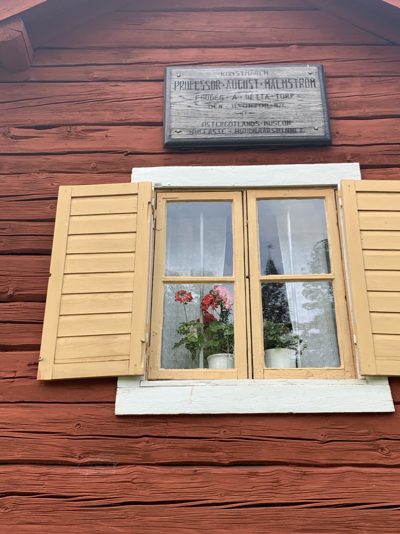 Fönster med gula luckor på en röd fasad. I fönstres ses två stycken begonior.