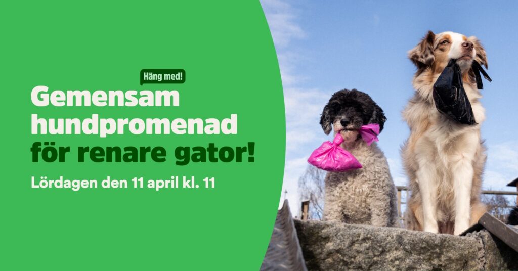 hundpromenad