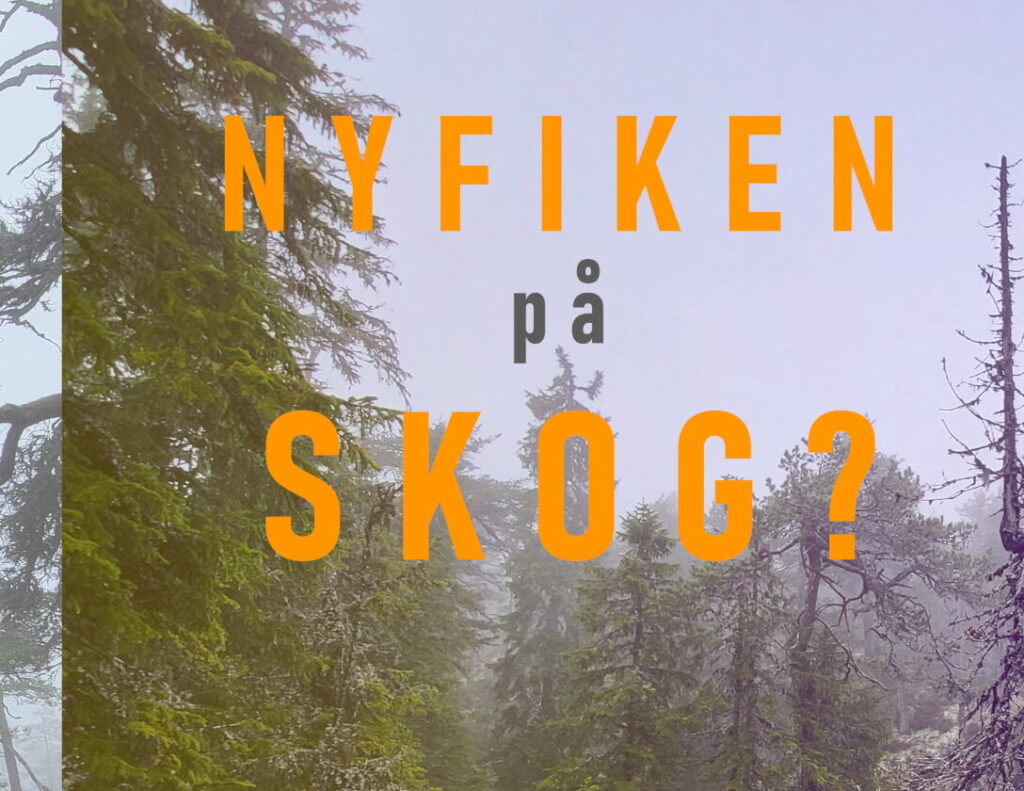 nyfiken på skog