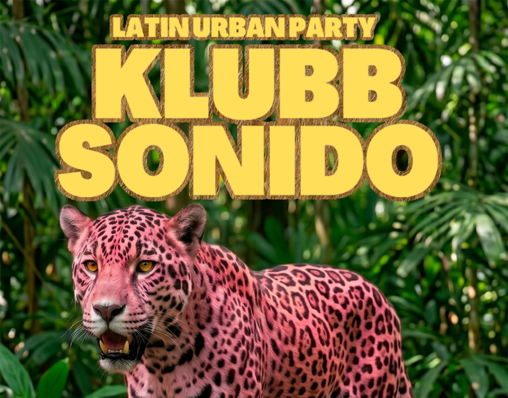 Klubb Sonido_Motala_flyer2 1080x1920