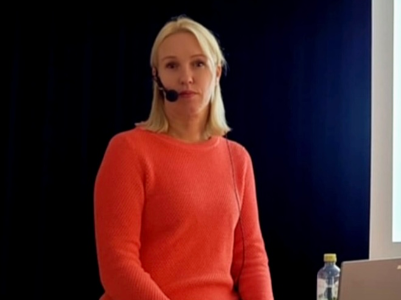 Det som ingen såg