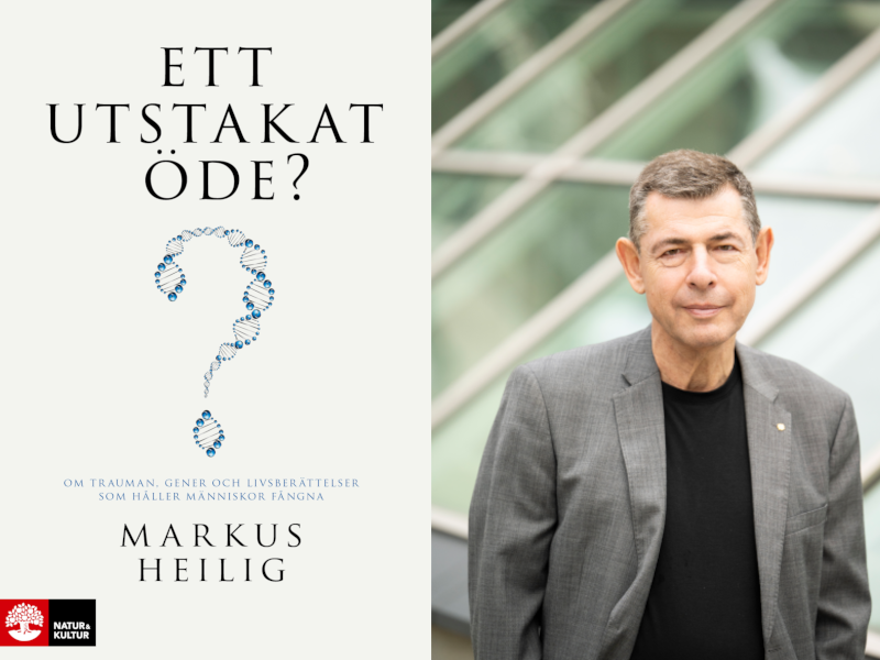 Markus Heilig