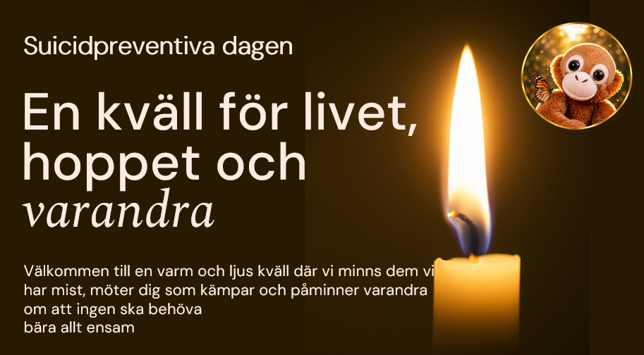 Skärmbild 2026-09-02 104536